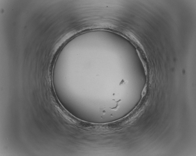 X0000067520789200604281633