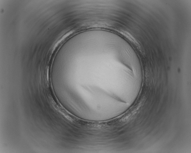 X0000067520790200604281633