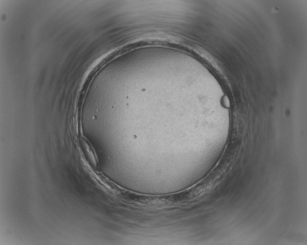 X0000067520791200604281633