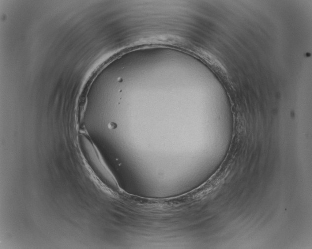 X0000067520792200604281633