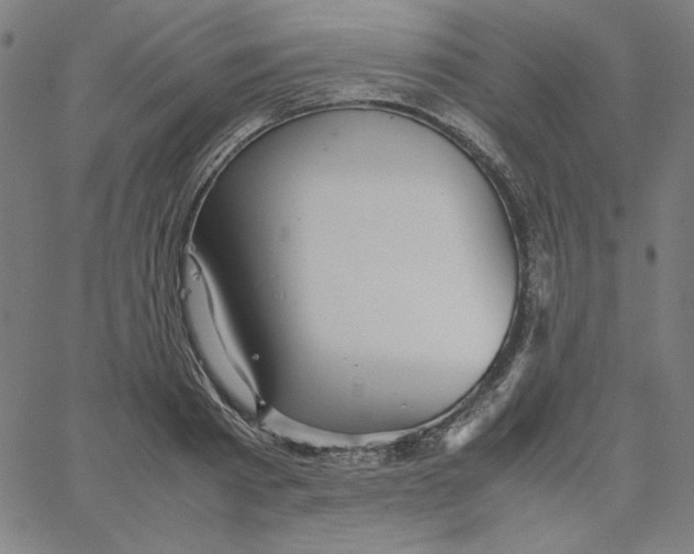 X0000067520793200604281633