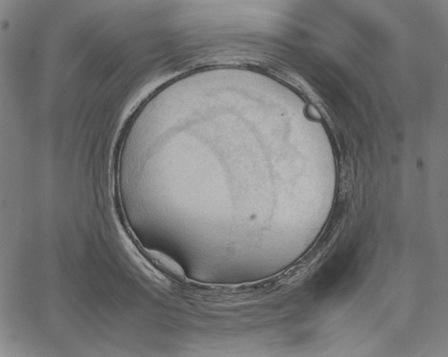 X0000067520795200604281632