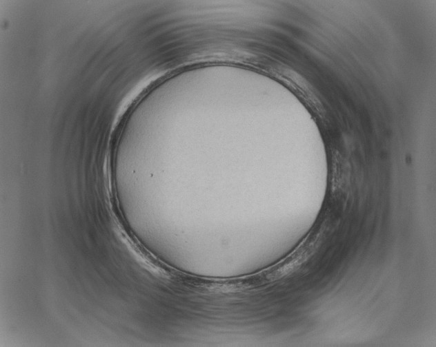 X0000067520796200604281632