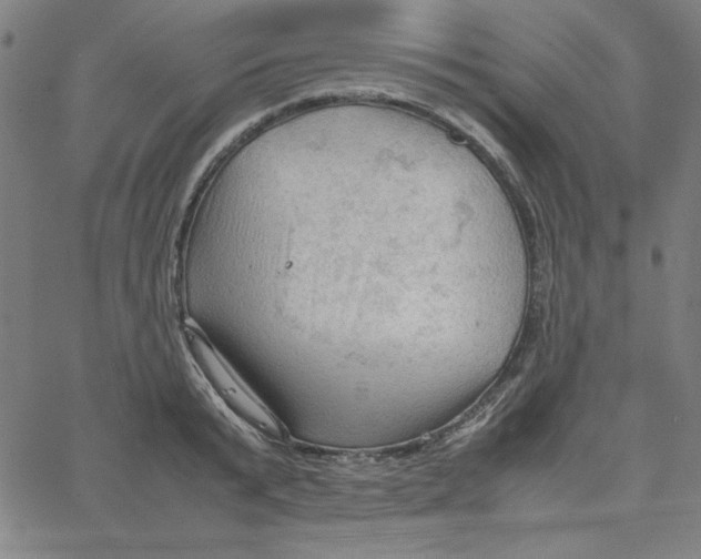 X0000067520799200604281632