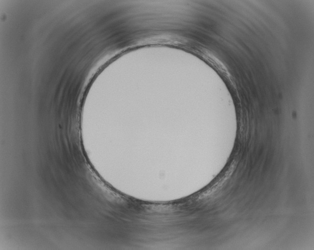 X0000067520800200604281632