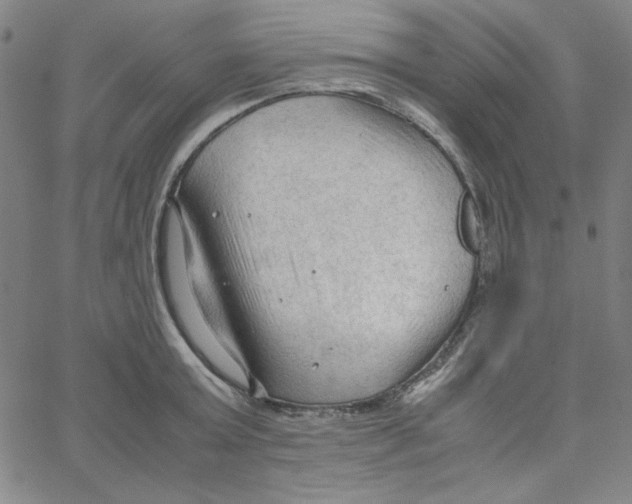 X0000067520803200604281632