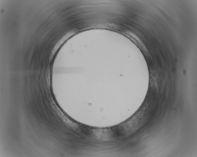 X0000067520804200604281632