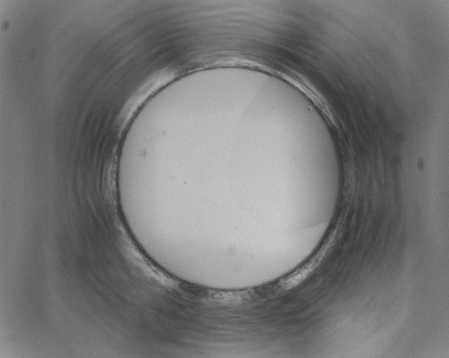 X0000067520806200604281632