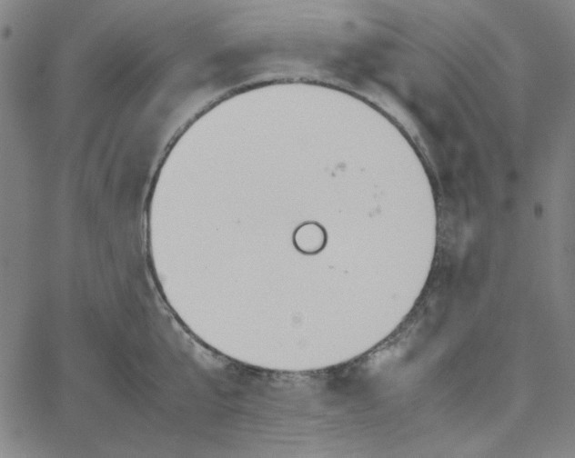 X0000067520807200604281632