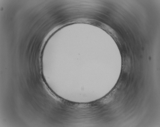 X0000067520808200604281632