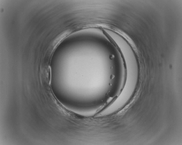 X0000067520809200604281632