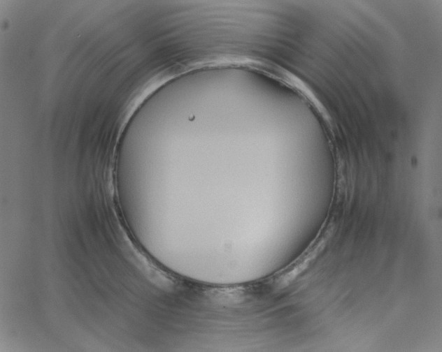 X0000067520810200604281632