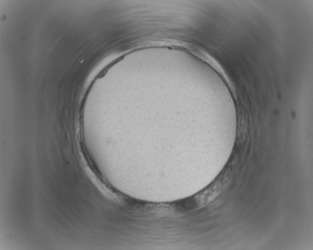 X0000067520811200604281632