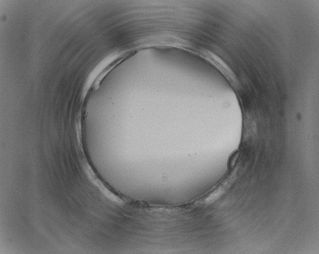 X0000067520812200604281632