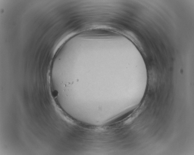 X0000067520814200604281632