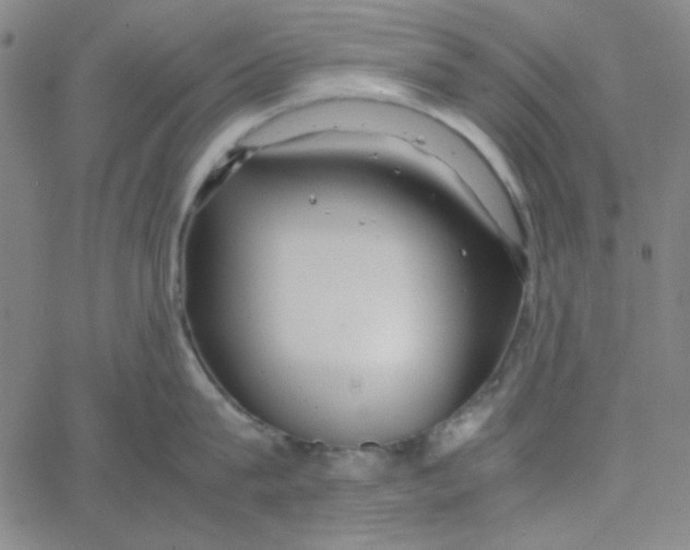 X0000067520815200604281632