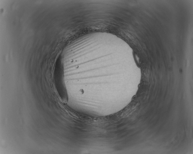 X0000067520817200604281631