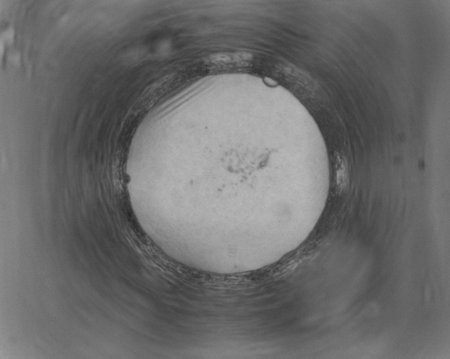 X0000067520819200604281631