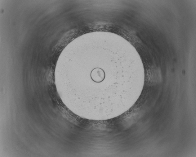 X0000067520820200604281631