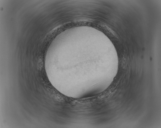 X0000067520821200604281631