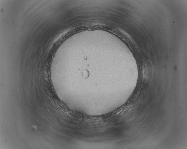 X0000067520823200604281631