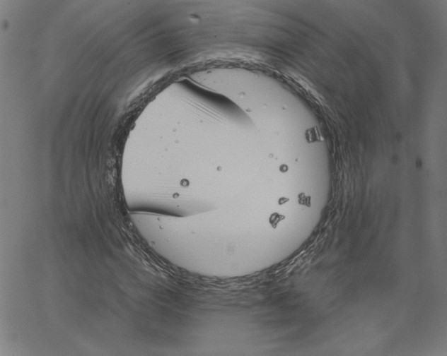 X0000067520824200604281631