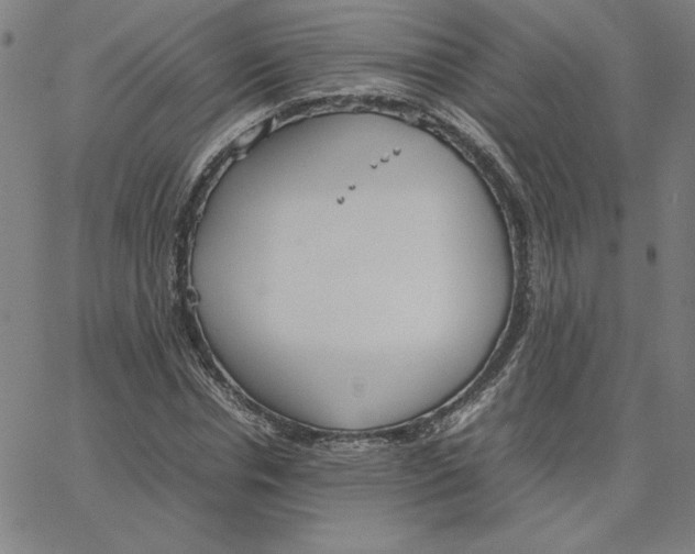 X0000067520826200604281632