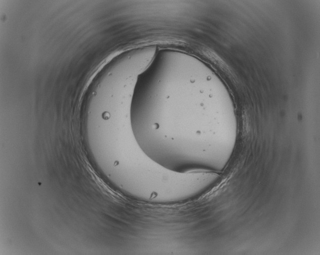 X0000067520828200604281632