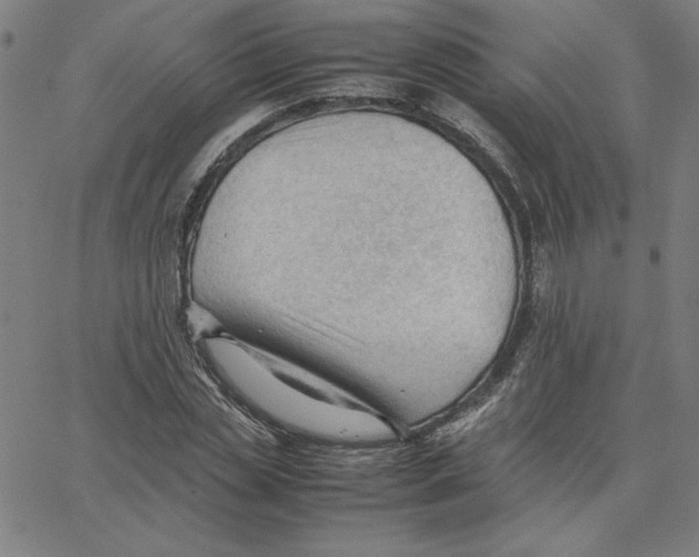 X0000067520829200604281632