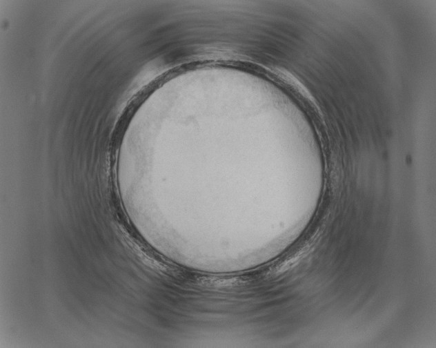 X0000067520831200604281632