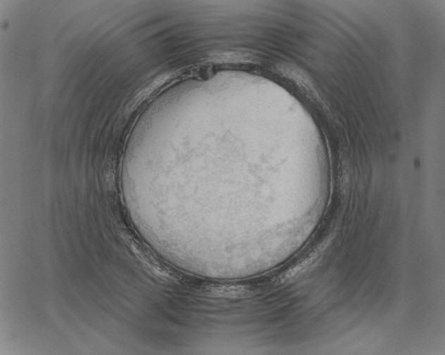 X0000067520833200604281632