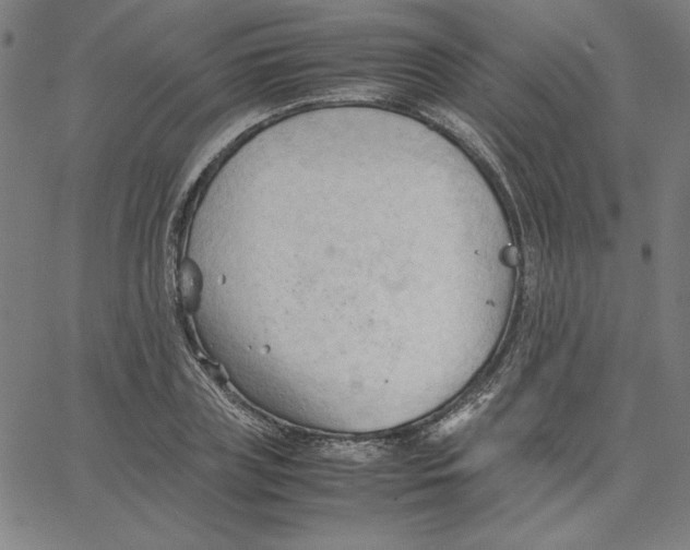 X0000067520835200604281632