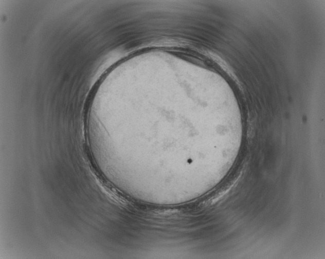 X0000067520837200604281632