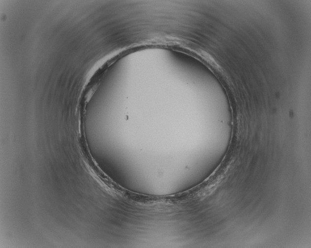 X0000067520838200604281632