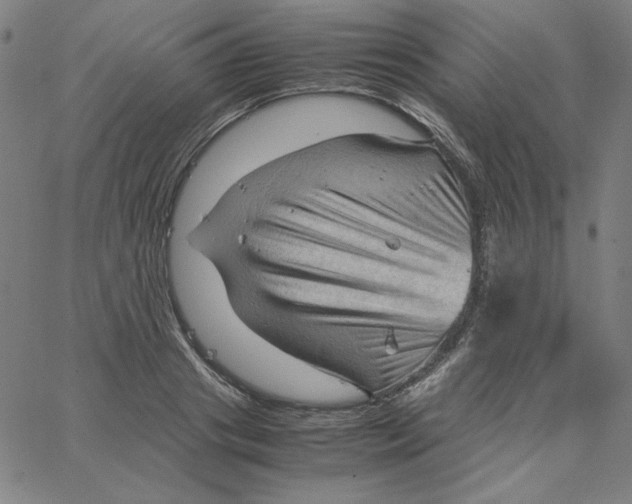 X0000067520841200604281632