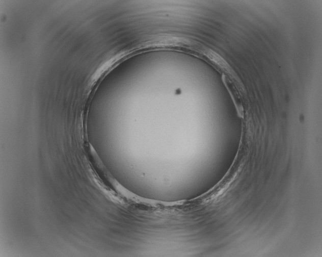 X0000067520842200604281632