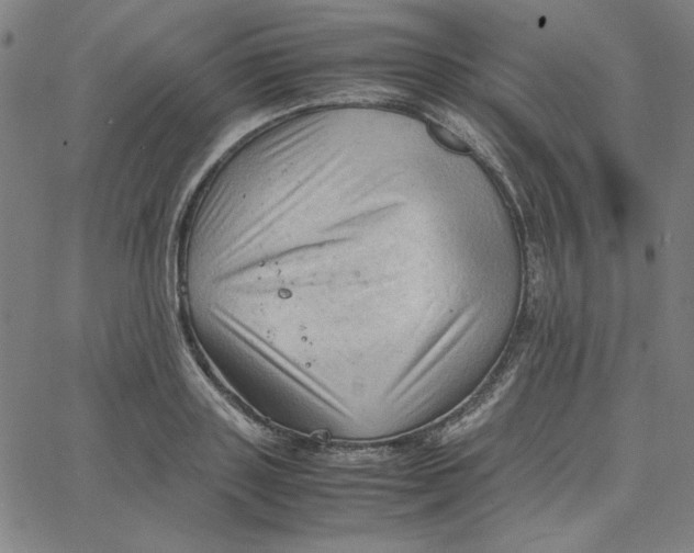 X0000067520843200604281632