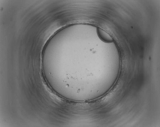 X0000067520844200604281632