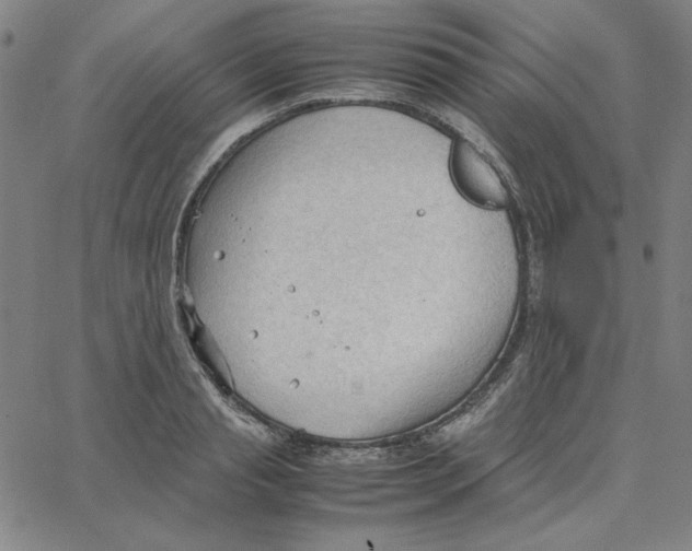 X0000067520845200604281632