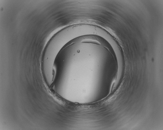 X0000067520846200604281632