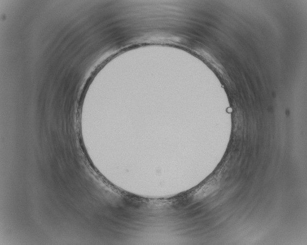 X0000067520848200604281632