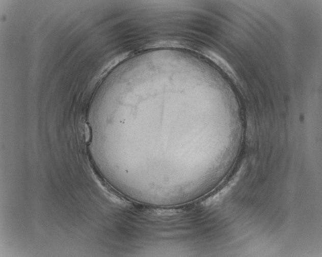 X0000067520849200604281632