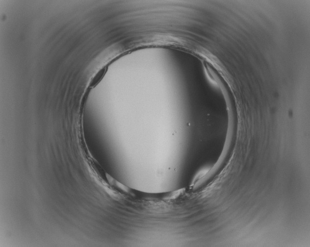 X0000067520850200604281632