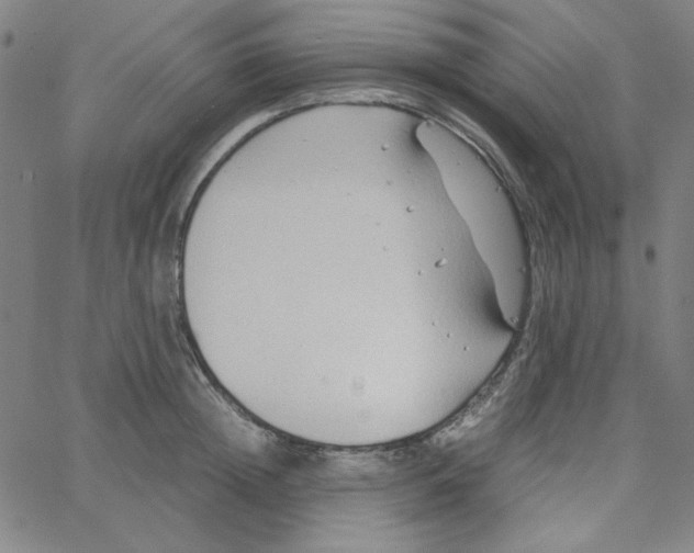 X0000067520852200604281632