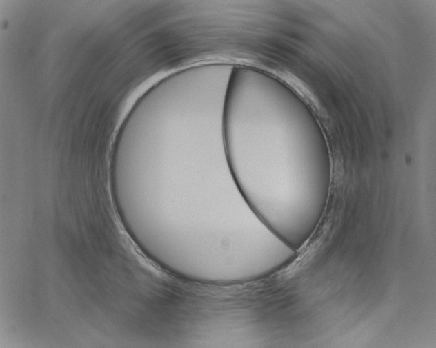 X0000067520854200604281632