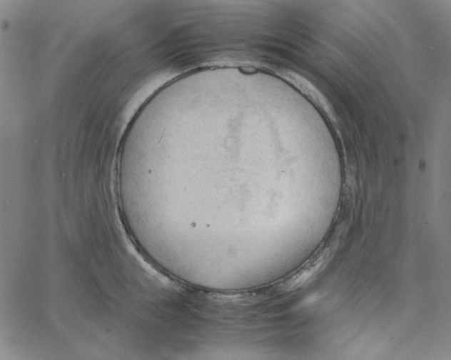 X0000067520855200604281632