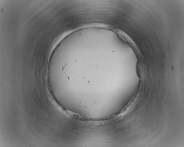 X0000067520860200604281632