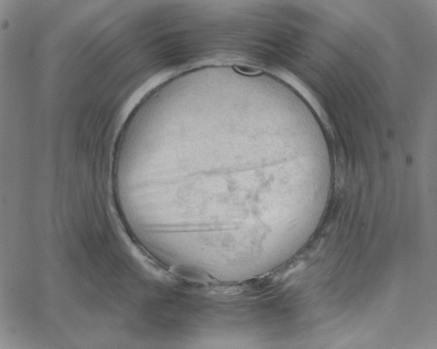 X0000067520861200604281632