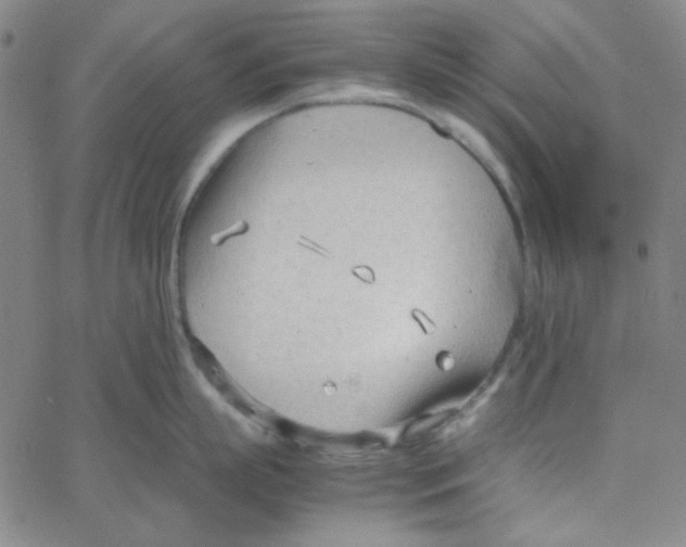 X0000067520863200604281632