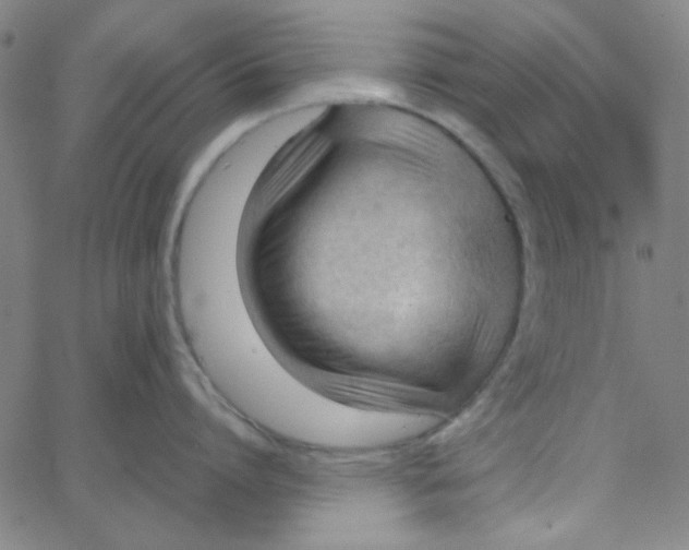 X0000067520864200604281632